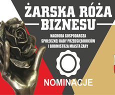 Relpol otrzymał Żarską Różę Biznesu