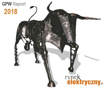 raport 2018 firmy elektrotechniczne
